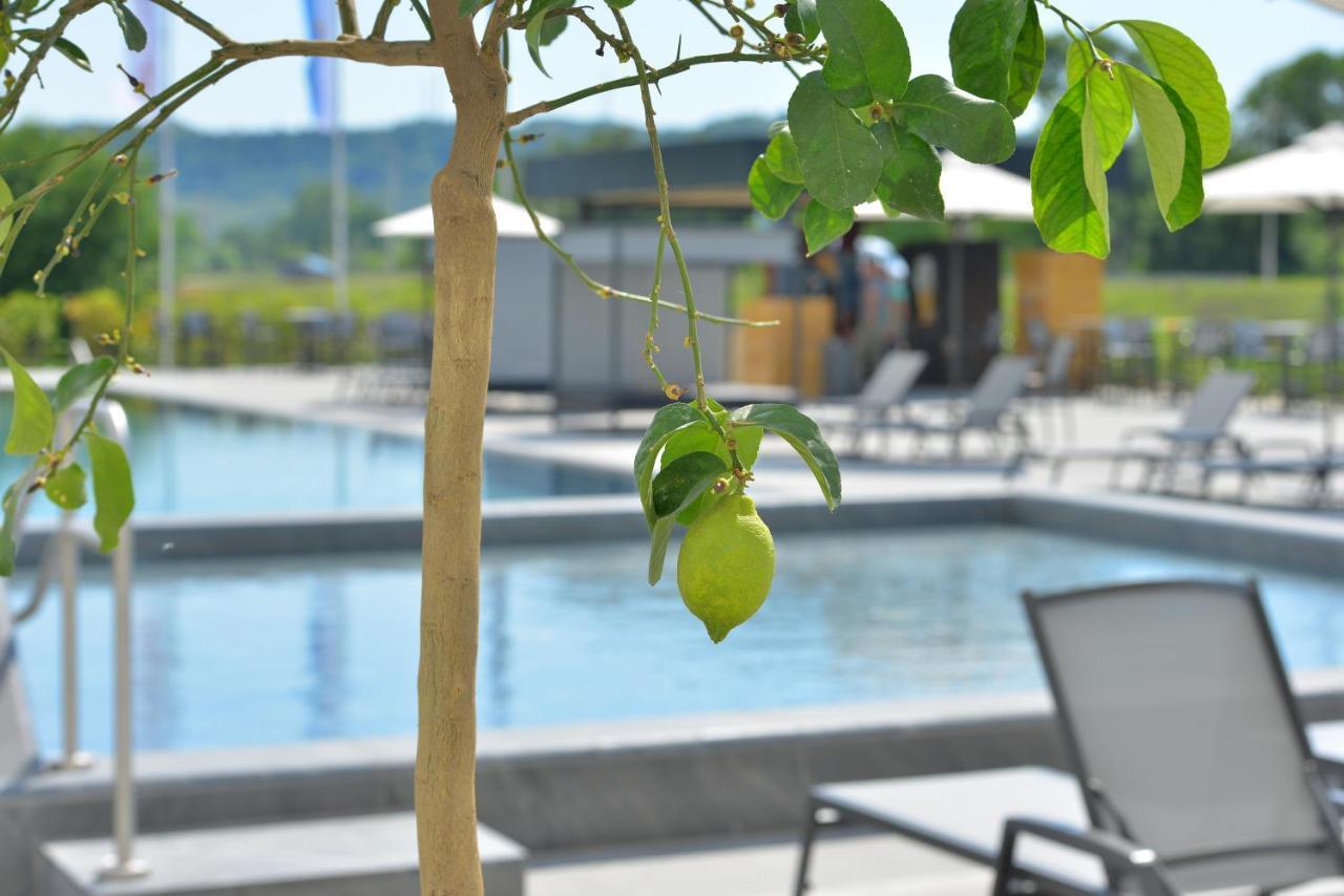 Mk Hotel Tirana Rinas Kültér fotó The swimming pool
